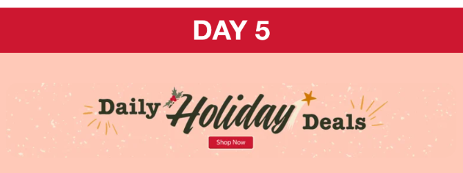 Day 5 - Costco Daily Holiday Deals