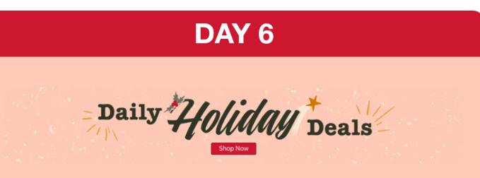 Day 6 - Costco Daily Holiday Deals