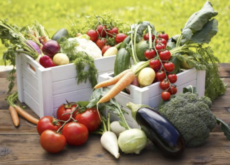 CSA Boxes in Manitoba for 2023 - Community Supported Agriculture