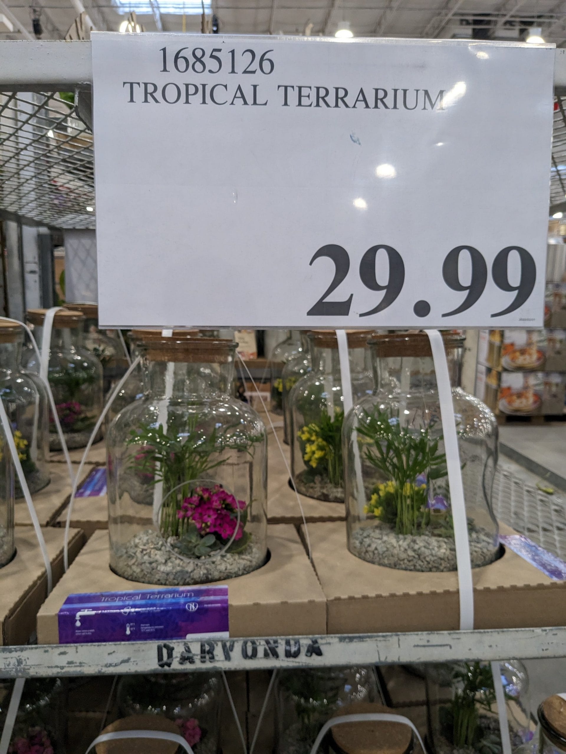 Part 2 - Costco unadvertised deals of the week starting February 6th
