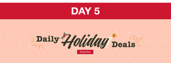 Day 5 - Costco Daily Holiday Deals