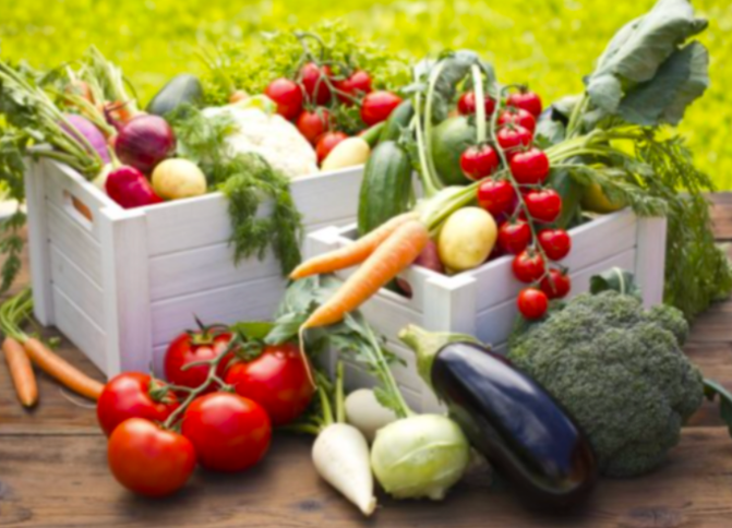 CSA Produce boxes 2026