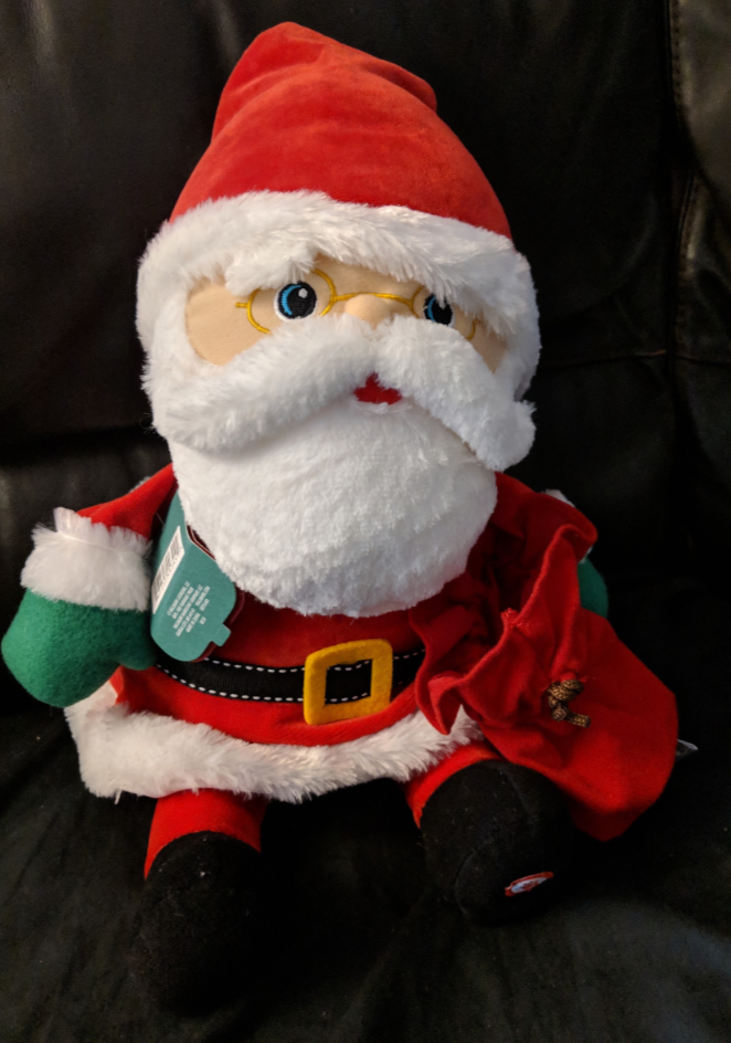 Pictures with Santa in Winnipeg