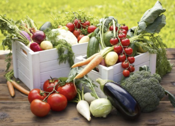 CSA Boxes in Manitoba for 2023 - Community Supported Agriculture