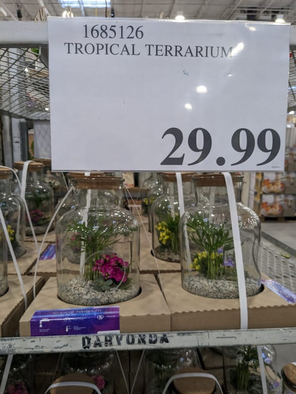 Part 2 - Costco unadvertised deals of the week starting February 6th