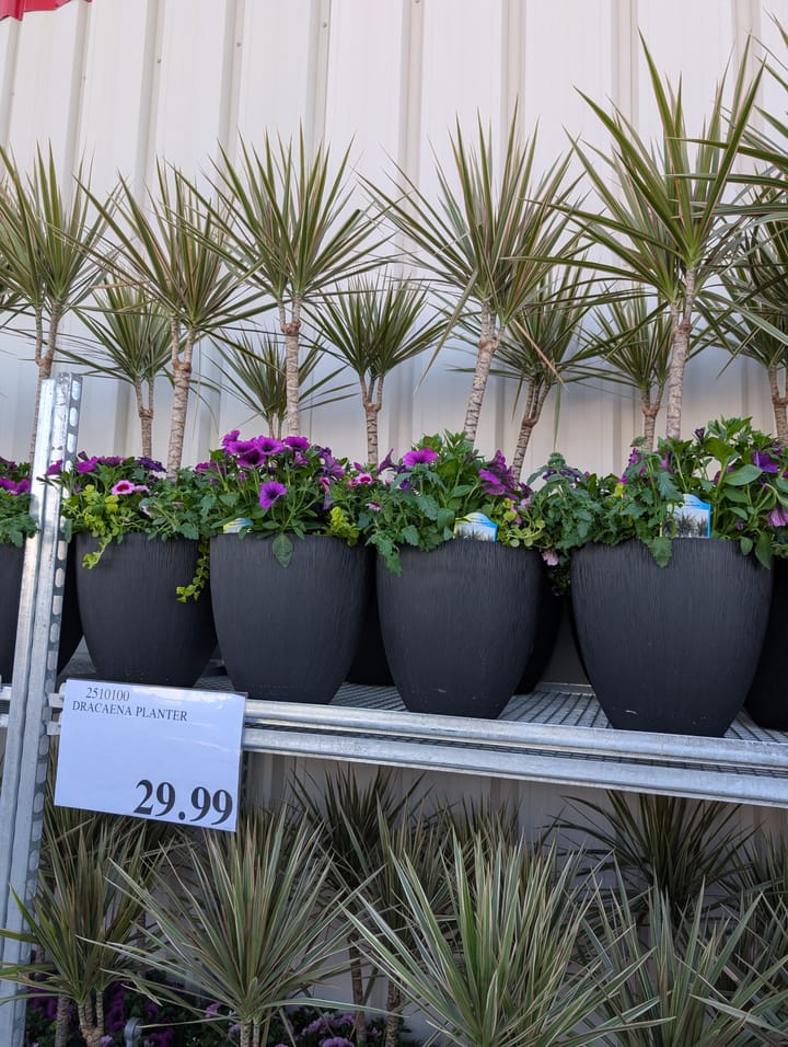 Costco Garden centre