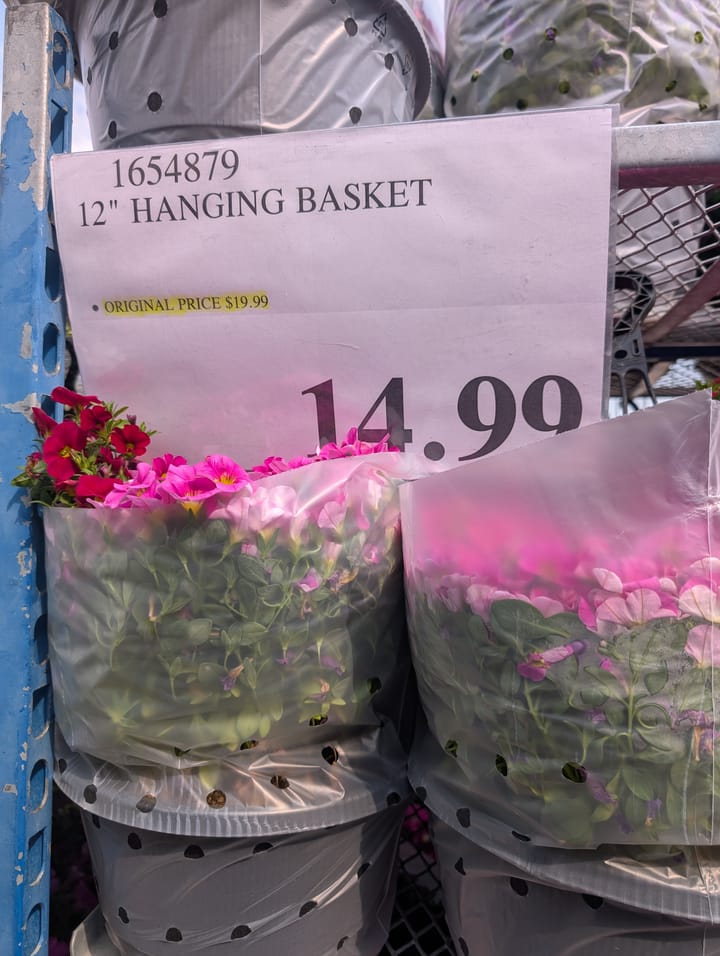 Costco garden center clearance