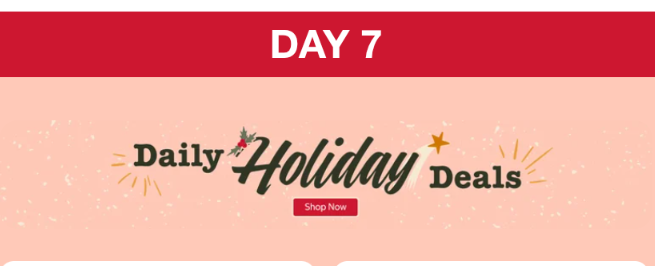 Day 7 - Costco Daily Holiday Deals