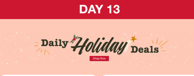 Day 13 - Costco Daily Holiday Deals
