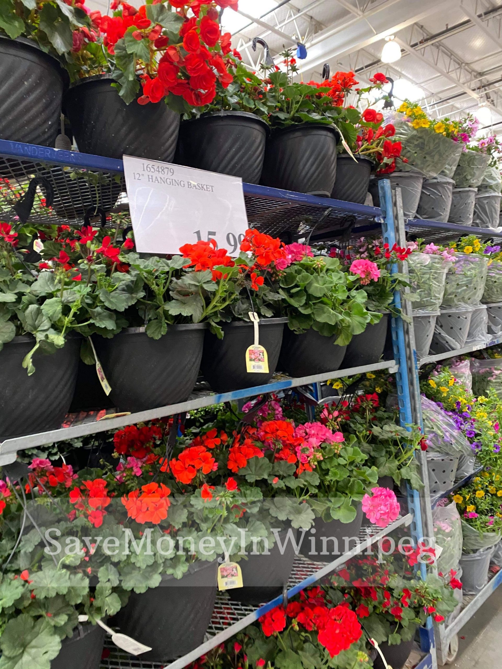 Costco Garden Centre Save Money in Winnipeg