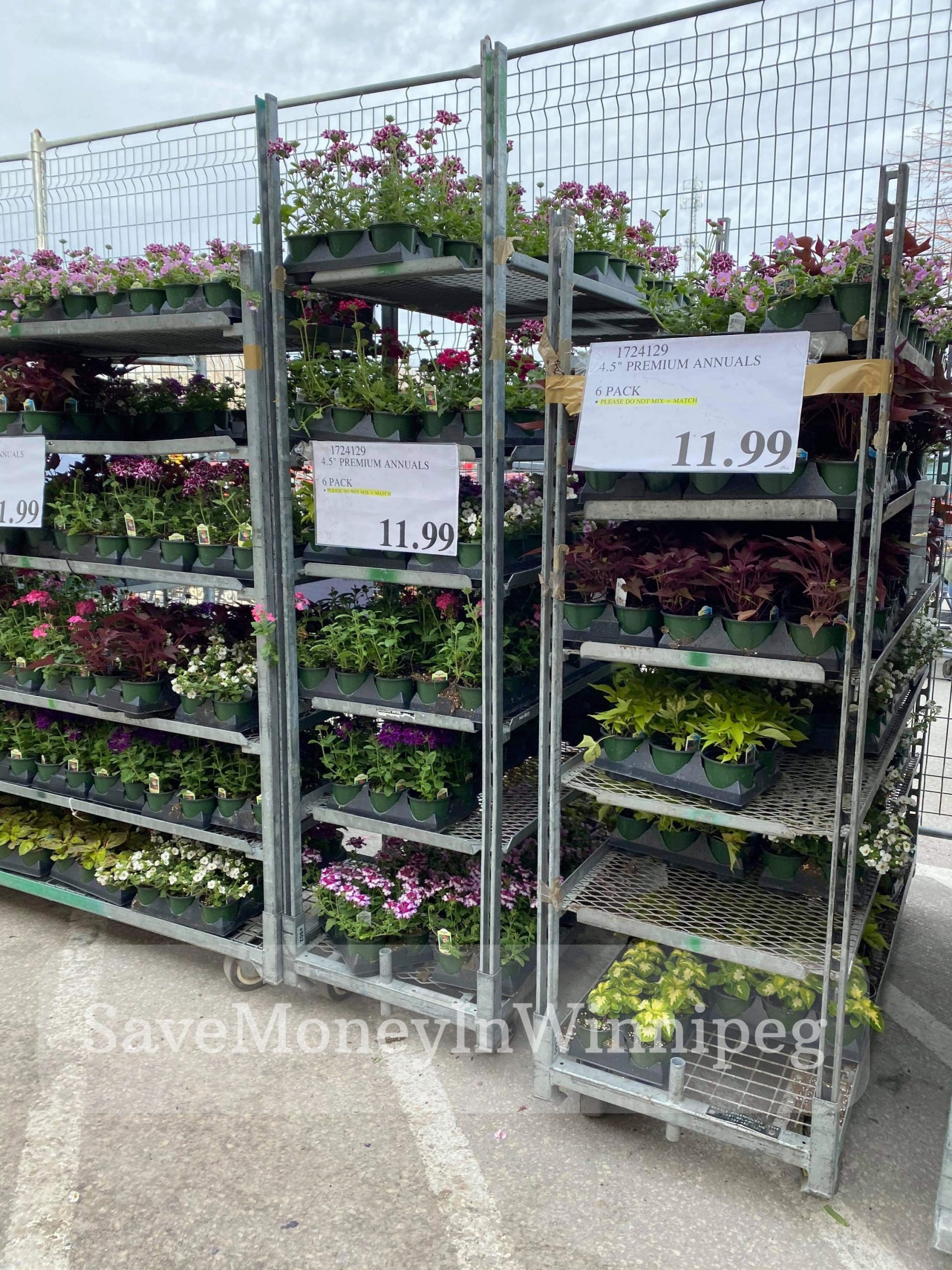 Costco Garden Centre Save Money in Winnipeg