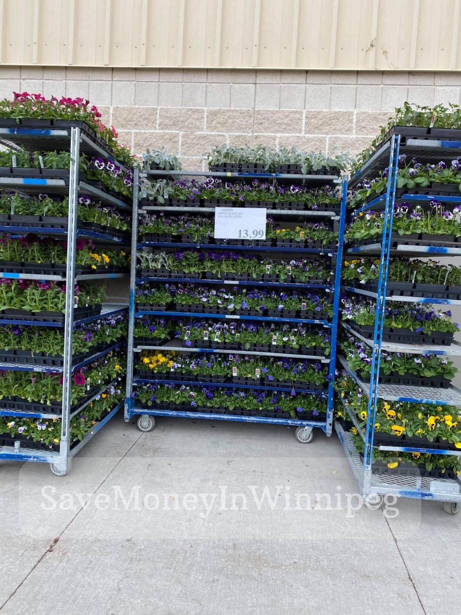 Costco Garden Centre Save Money in Winnipeg