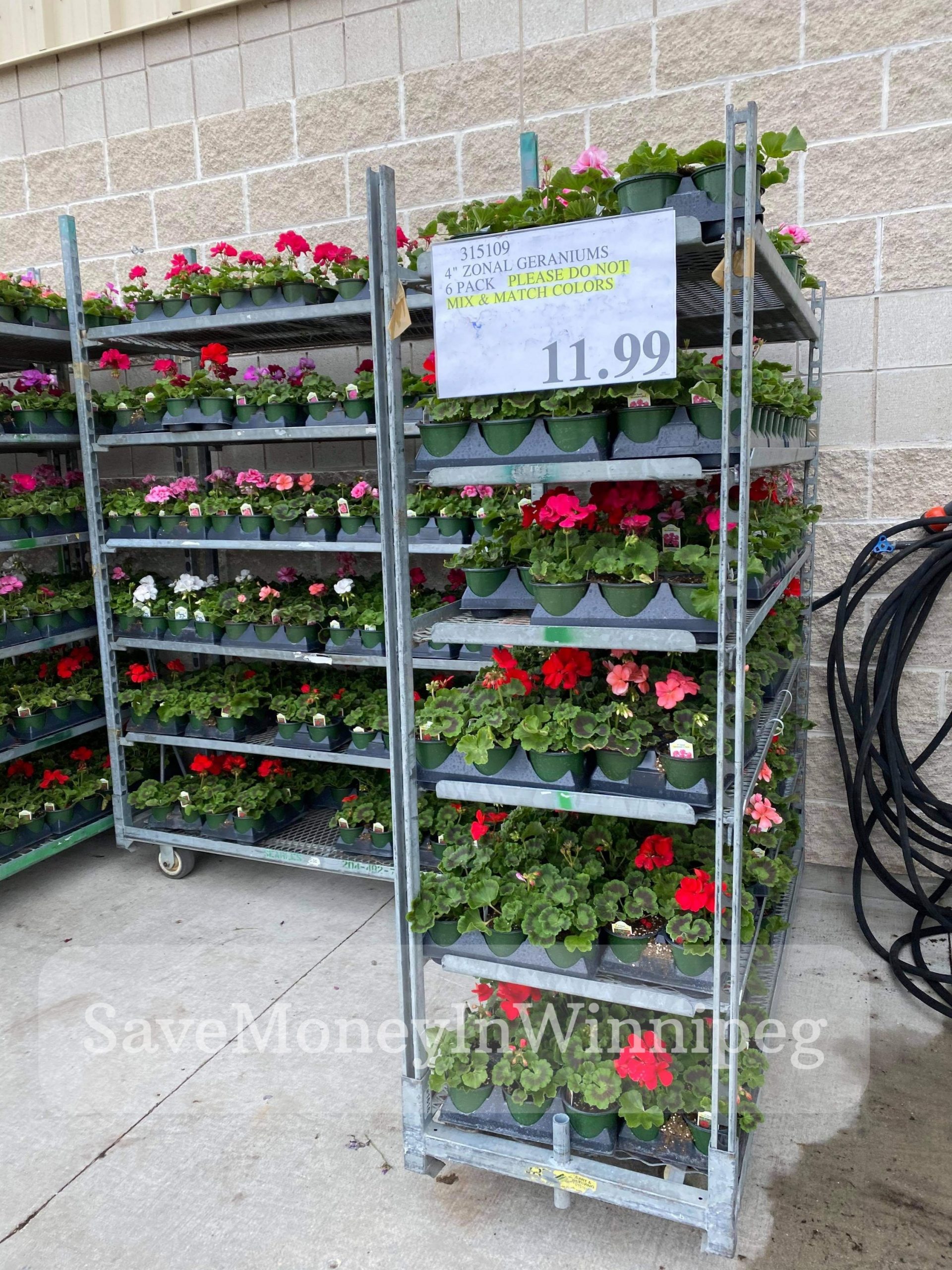 Costco Garden Centre Save Money in Winnipeg