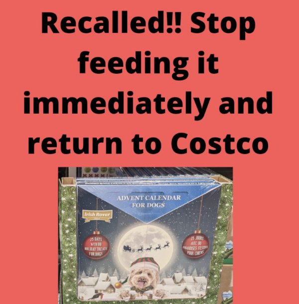 Irish Rover Dog Advent Calendar Recall at Costco!!! Save Money in